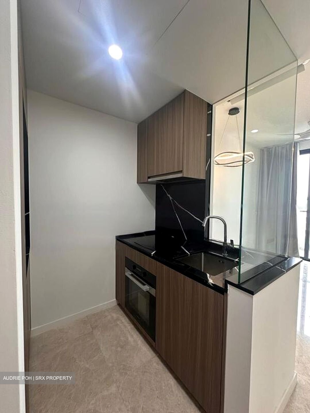 Irwell Hill Residences (D9), Apartment #457631841